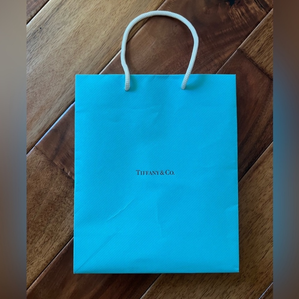 EMPTY Tiffany & Co. Bag